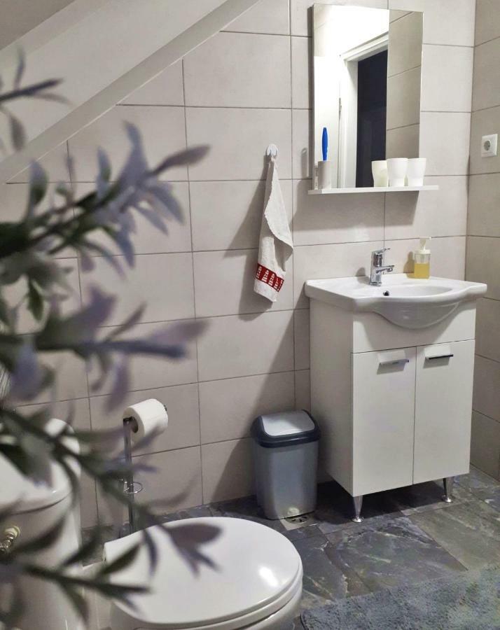 Apartman Lena Tusilovic 外观 照片
